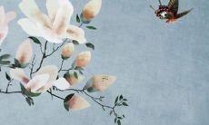 属狗人1982到2022的巨大转变：哪个月的运势最差，甚至可能带来危险？