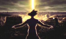 庭院风水之选：栽种哪种树木最能为家宅带来繁盛吉祥之气？