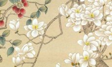 2022年属鸡人的生男生女运势预测：是否会迎来儿子？属鸡人子女运势如何？