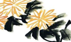 根据八字预测，拥有日主为癸水亲水旺相之人——2022年的运势展望何去何从？