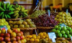 做梦被鳄鱼和蛇咬到，这种象征意义的梦境具体代表着什么？