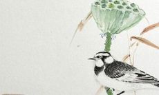 在甲午日的辰时，探究2022年运势，让我们一起来看看吧！