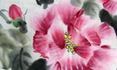 从十蛇九富谈起：深入探讨属蛇人的命运分析