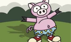 2022年，生肖属猪的人多少岁？他们未来的运势如何呢？