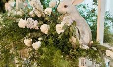 这些星座经常面无表情，但其实内心非常浪漫和感性！