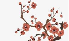 分析：预测与建议