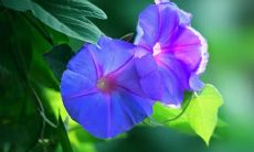 在梦境中玩牌游戏输钱，这代表着什么寓意？