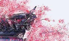 从属兔的1999年出生人，在2022年将会拥有怎样的运势呢？