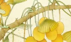 什么时候是属蛇人开始顺转运的最佳时期？