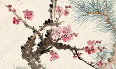 如果我是一只98年出生、属虎的人，我会在2022年的本命年有什么破解方法？