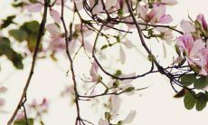 的事业主妇，详解财运、感情、健康、家庭等方面的表现和建议