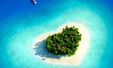 在梦中观测到漂浮于水潭上的树木景象