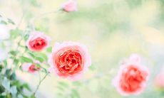 五行学说中忌水的人应避免前往北方地区