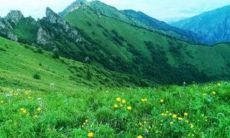 甲辰日柱男命的配偶状况：朴实又简单