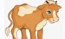 属牛人的个性特点及其在人际交往中的优缺点分析