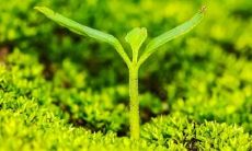 在梦中与神对话：探究心灵深处的灵性与哲学之旅