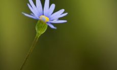 有哪些？哪些水晶拥有最强的转运能力，能助你招来幸运与财富？