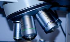 在梦中看到大量被倒下的树木代表什么？