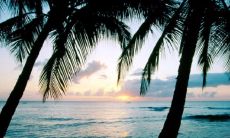 女士们，您知道哪种水晶能带来更多的财运吗？不要错失机会，快来探索奇妙的水晶世界，并找到最适合您的招财水晶！