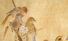 2022年生肖猪女的运势和运程分析：财运、爱情、事业、健康等方面展望