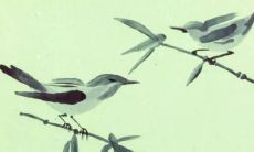 57属鸡个人综合运势预测2022年全面分析，包含财运、事业、感情、健康等方面的详细解读