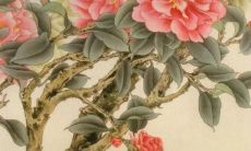 2022年2002年出生属马人的逐月运程预测：从20岁进入新十年的马儿们，你们将迎来怎样惊喜的运势？