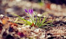 在梦中迷路，历经漫长寻找之路后终于找到归途的经历是怎样的？