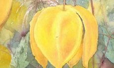 如何轻松拥有一份简单又好听的名字？