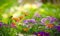 梦中经历看病并拿药的奇妙体验