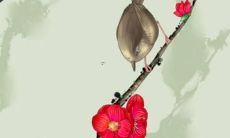 根据中国农历，生于1997年属牛的男生2022年的综合运势如何？