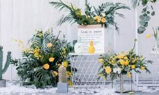 12星座成员的战队名称