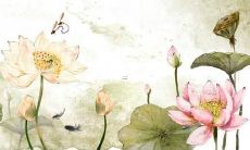 ——超多QQ女生名字霸气又好听！