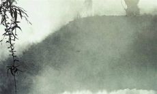 当83年出生的母猪遭遇39年周期的灾害，如何让其生存下来？