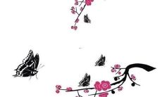 通过星座和生肖结合的方式，探究2022年蛇年的综合运势与发展前景分析