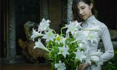 用图解解读女性左手手相线条，了解命运、财富、婚姻等方面的预则，以及如何健康运气争取好运