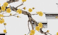 超级流行又好听的2022年最佳男孩名字推荐！