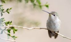 74年属虎的人住几层楼最为有利，以获得最佳财运？