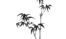 预测：陶白白未来一年内的感情发展状况及影响因素分析