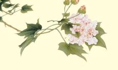 属虎人在2022年的运势如何？一起来看看1999年出生的属虎人现在的未来之路吧！