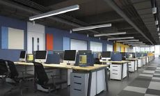 在美丽的梦境中遇见褪色的生灵：枯萎的花朵