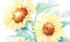 2022年详尽分析：属牛人全年十二个月的各项运势预测