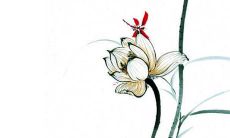 2022年丁卯乙巳庚午庚辰的个人、事业、财富、感情、健康运势预测