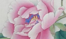 十年之久，从现在开始，预测属鼠人的未来运势：充满喜忧参半的挑战与机遇，看你如何迎接并把握！