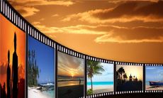 男性做梦梦见葡萄藤，梦中栽种葡萄的象征意义是什么？