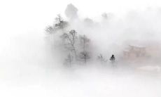 探讨2022年属鼠人未来5年的运势趋势及其对个人生活、职业、财富和人际关系的影响