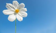 门口放镜子的讲究与家中最佳镜子放置位置有哪些考虑因素？