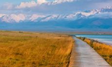 的解释是透过占星学了解七杀对于时柱上的女性的独特影响？