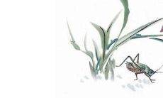 如何为属虎男孩取一个最为吉利的名字？属虎人应该选择哪些名字才能招来更多的运势和好运呢？