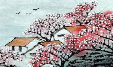 金星在2022年的星座运势及其对人生的影响分析