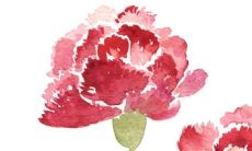 80年出生的人在2022年猴年的运势分析：如何应对挑战与机遇？